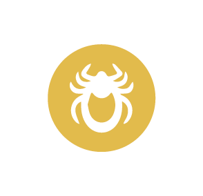 Akar (Mite)